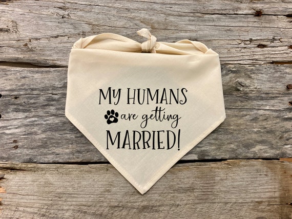 Hundehalstuch 'My Humans Are Getting Married' – Verlobungsgeschenk Für Haustiere, Hochzeitsfoto-Zubehör