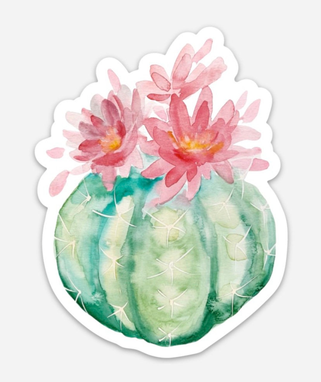 Blooming Cactus Vinyl Sticker Vinyl Decal Laptop Sticker Etsy
