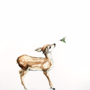 hello, friend, baby fawn and hummingbird