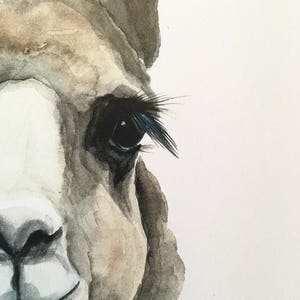 Brown Llama Watercolor PRINT image 2