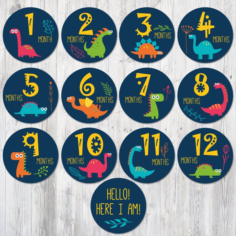 dinosaurs baby monthly stickers baby boy milestone