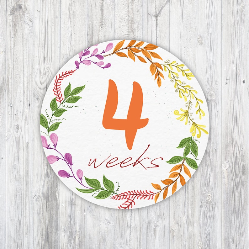 Instant Download Flowers Weekly Pregnancy Stickers Flower Printable Weekly Pregnancy Sticker Belly Bump Stickers Pregnancy Countdown