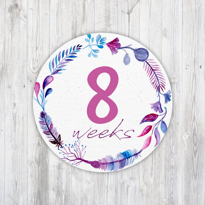 Instant Download Flowers Weekly Pregnancy Stickers Flower Printable Weekly Pregnancy Sticker Belly Bump Stickers Pregnancy Countdown