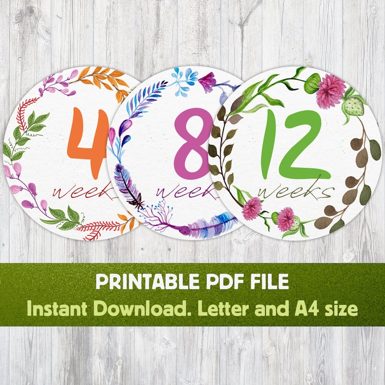 Instant Download Flowers Weekly Pregnancy Stickers Flower Printable Weekly Pregnancy Sticker Belly Bump Stickers Pregnancy Countdown