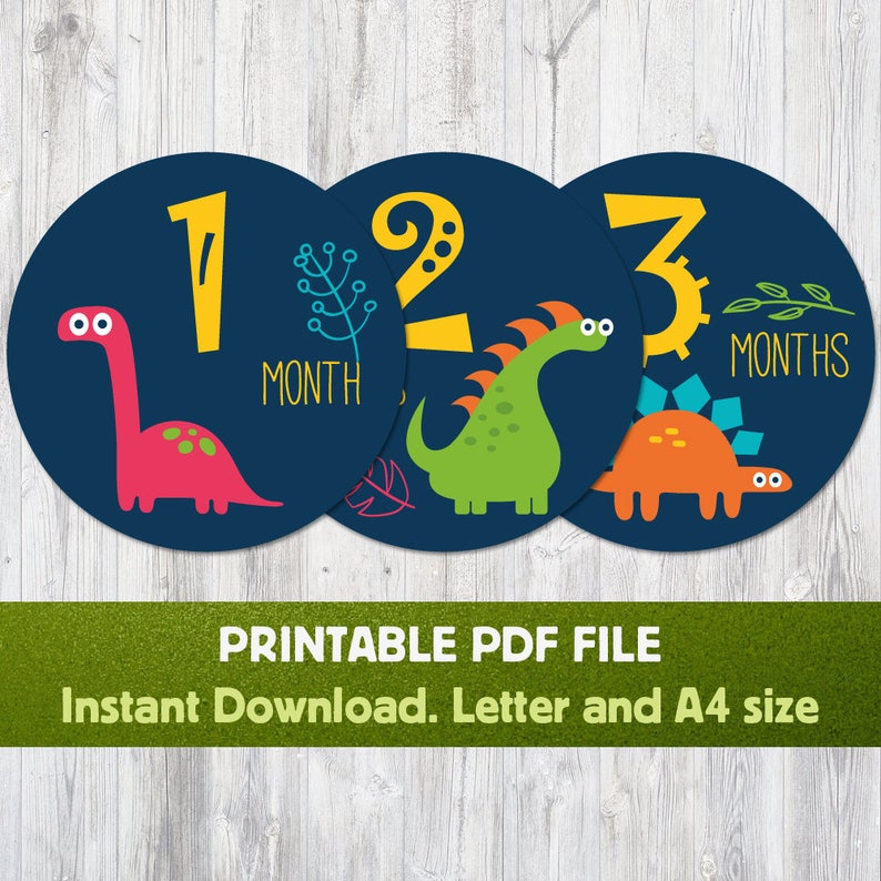 dinosaurs baby monthly stickers printable boy milestone etsy