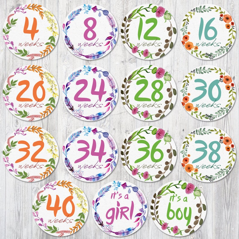 Instant Download Flowers Weekly Pregnancy Stickers Flower Printable Weekly Pregnancy Sticker Belly Bump Stickers Pregnancy Countdown
