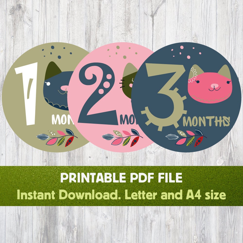 Baby Monthly Stickers Printable Baby Shower Baby Month Etsy