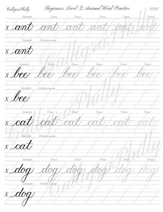 Beginner Level 2: Calligraphy Word Practice Worksheet & Blank Practice  Sheet Animal Theme Copperplate Calligraphy Digital Download 