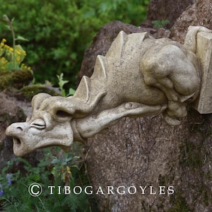 GARGOUTTE - gargoyle - fountain - garden statue - ornament - walldecoration - Medieval Art - cathedral ornament - character