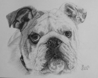 Hand drawn graphite pencil portrait commissions