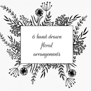Compositions florales dessinées à la main. Ensemble de plantes, branches, feuilles, fleurs dessinées à la main. Clipart floral PNG. Téléchargement instantané