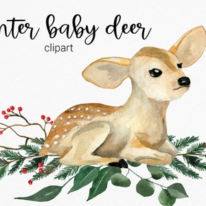 Winter Baby Reh. Weihnachts Hirsch Baby, Winter Blumen. Baby Shower Clip Art Clipart. Kinderzimmer Grafik. Weihnachts-cliparts. Herunterladen