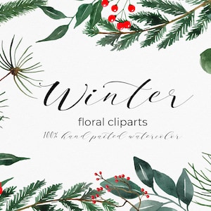 Clipart di fiori invernali ad acquerello, verde invernale, rami, bacche, corna di cervo, rami di pino, eucalipto, cedro, vischio. Scarica