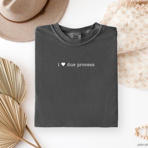 I heart Due Process T-shirt: Comfort Colors® Short or Long Sleeve Tee (M0821D25)