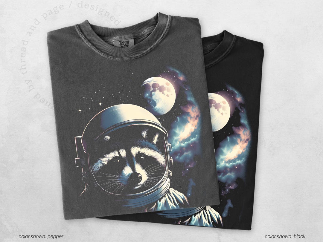ラクーン宇宙飛行士ギャラクシーTシャツ:コンフォートカラーズ ラクーン宇宙飛行士ギャラクシーTシャツ:コンフォートカラーズ