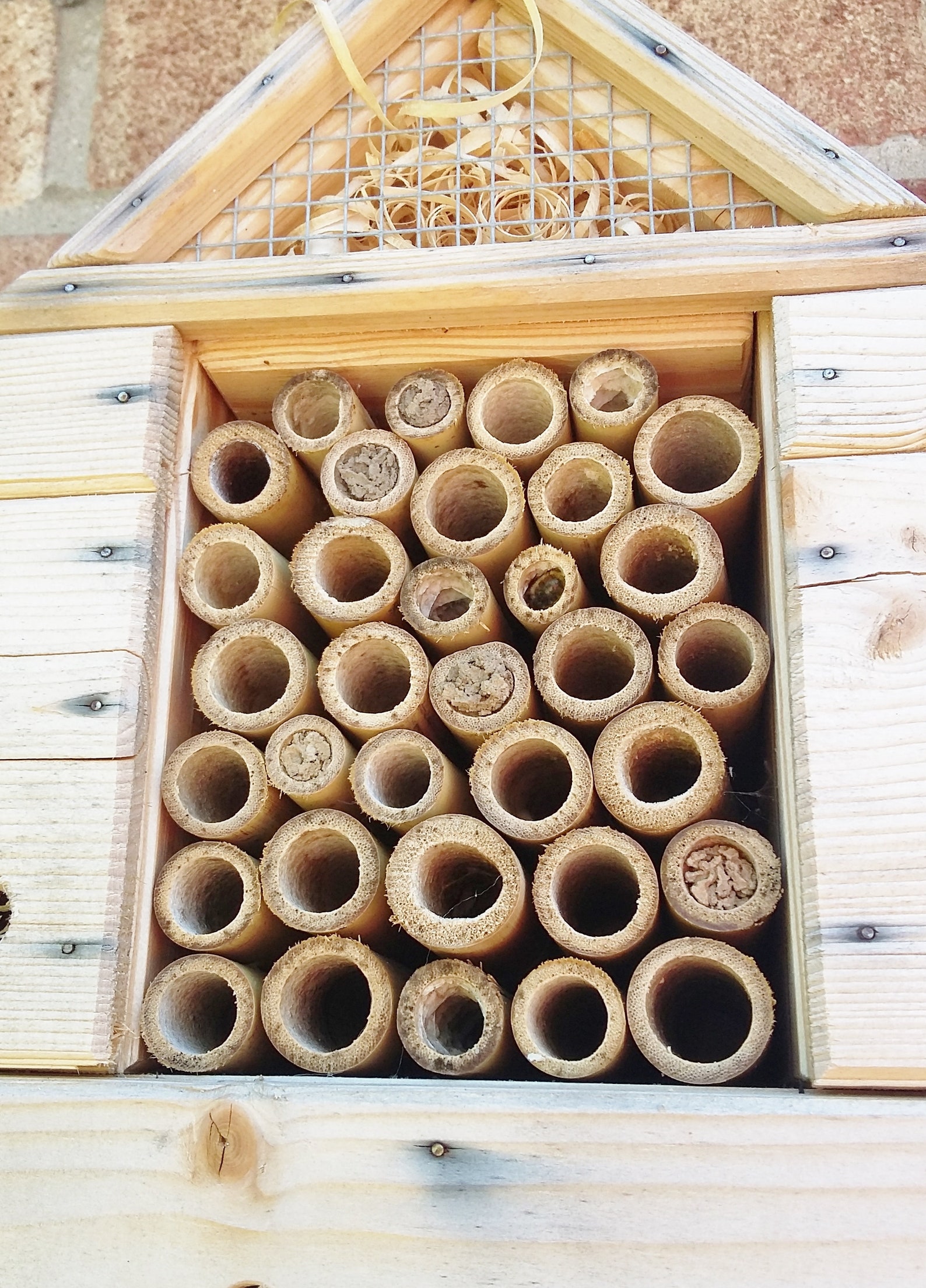 Bee And Butterfly House Plans Download