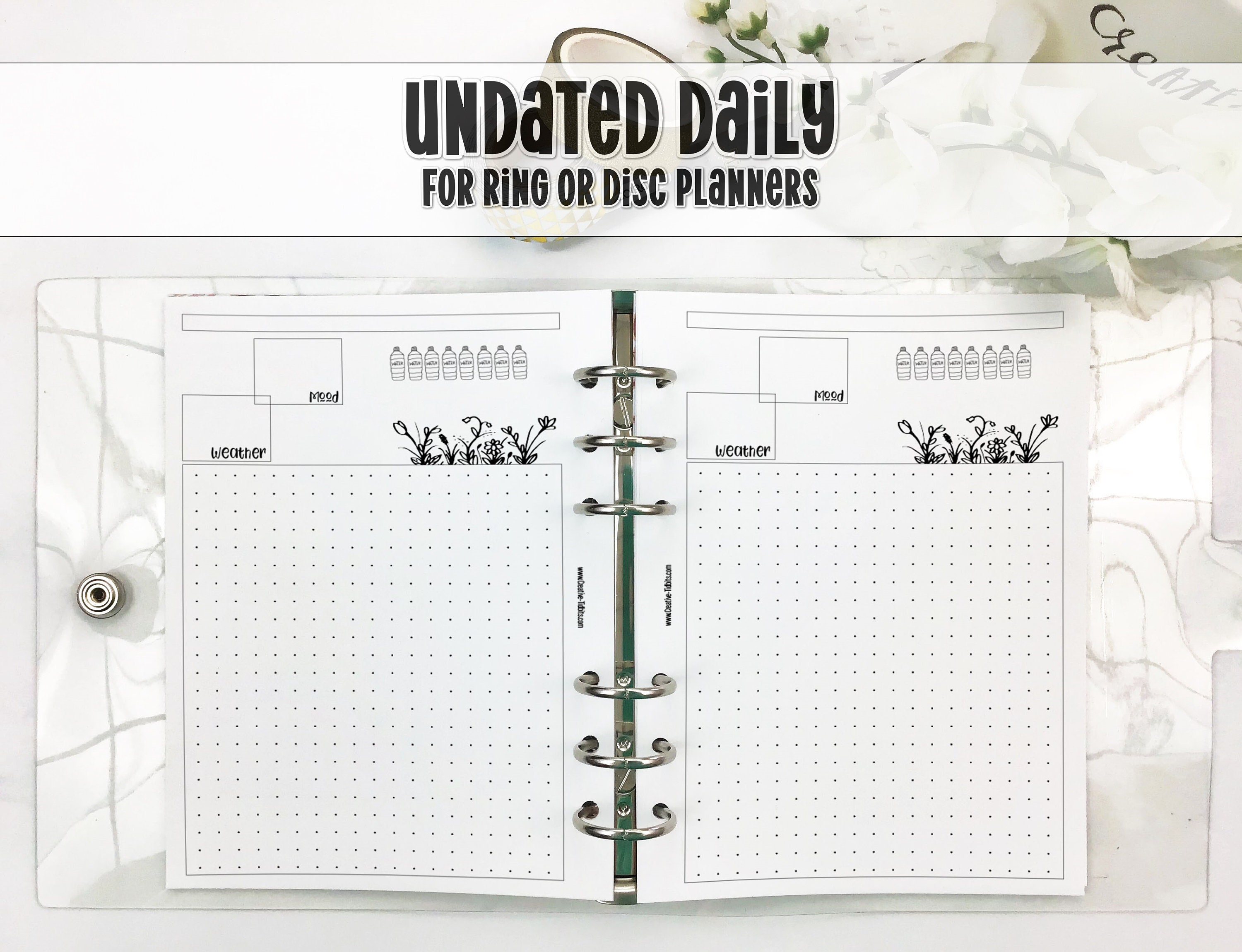 Carpe Diem A5 Undated 12-month Planner Box Color Wash / Feathers / Ditsy  Floral Calendar Weekly Layout 