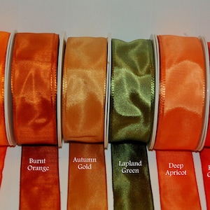 Nastro con bordo cablato in taffetà autunnale da 1,5", Halloween, arancione, verde, oro, raccolto, Natale, ghirlanda, regali, torte, artigianato, matrimonio