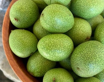 Fresh Green WALNUTS-30 POUNDS! Handpicked, Limited availability