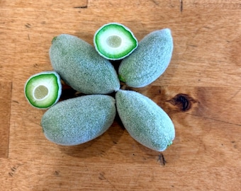 3 LB Fresh Green Almonds, Unripe Almonds FREE SHIPPING