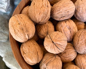 NEW CROP: In-shell walnuts! California grown, Allergy aware