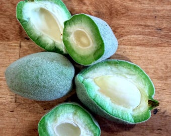 3 LB Fresh Green Almonds, Unripe Almonds FREE SHIPPING