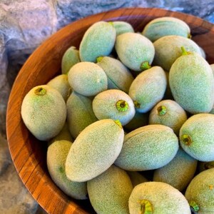 LAST CHANCE 3 LB Fresh Green Almonds: California grown, Allergy aware