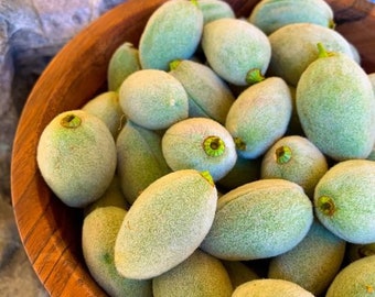 LAST CHANCE 3 LB Fresh Green Almonds: California grown, Allergy aware, seasonal taste