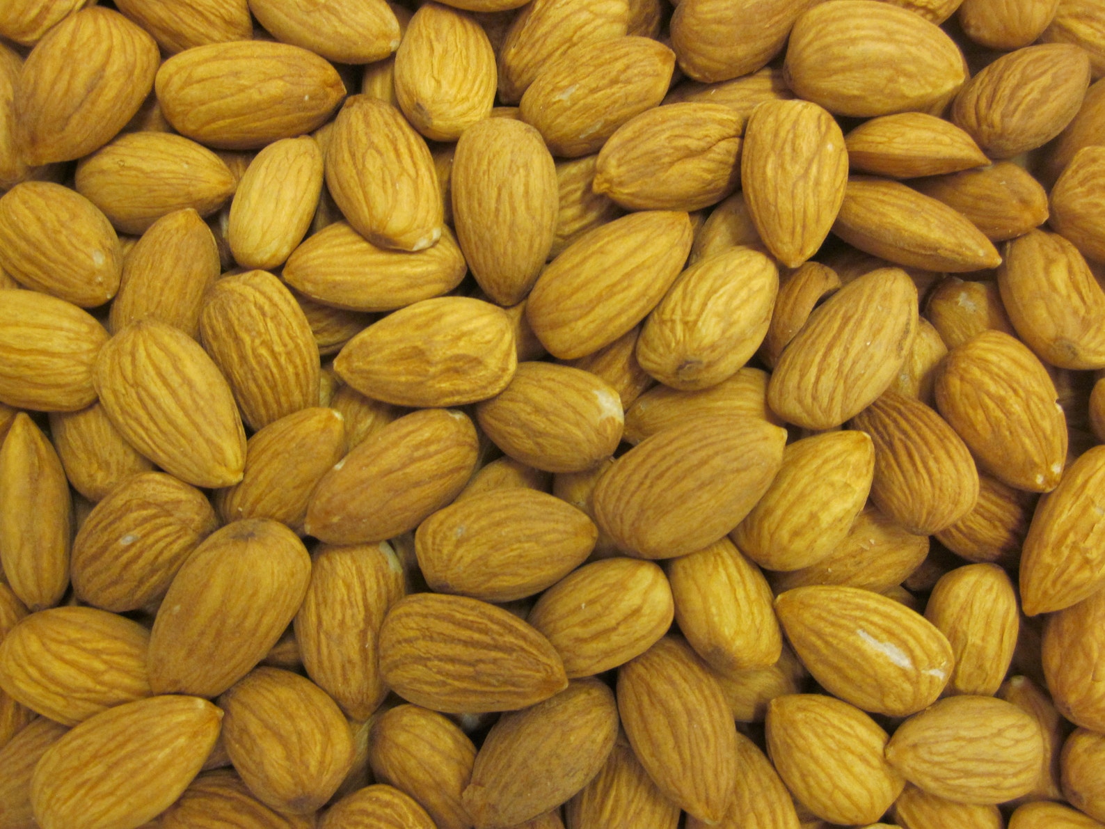 Nonpareil Almonds Farmer Direct California Grown Etsy