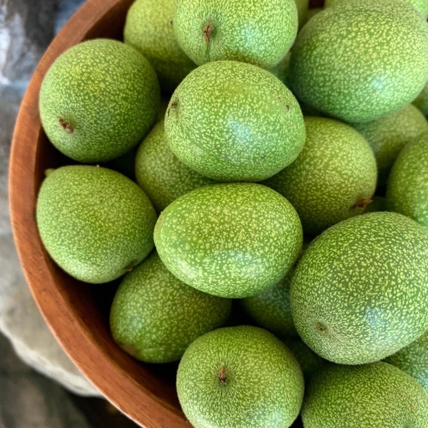 FRESH GREEN WALNUTS, California grown, free shipping anywhere in the U.S.A. including Alaska and Hawaii!