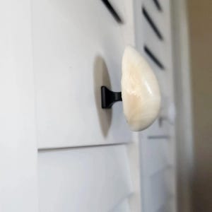 Clam Shell Cabinet Knobs - Authentic Seashell Drawer Pulls - Coastal Kitchen Handles, Beach House Dresser Hardware