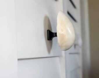 Clam Shell Cabinet Knobs - Authentic Seashell Drawer Pulls - Coastal Kitchen Handles, Beach House Dresser Hardware