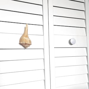 May include: A light brown seashell with a spiral shape is mounted on a white shutter. The shutter has horizontal slats and a white round knob. The seashell is the focal point, showcasing natural textures and tones.