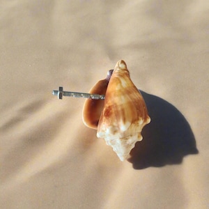 May include: A decorative seashell with a metal bolt and nut. The shell is a light brown color with darker brown markings. The bolt is silver and is attached to the shell. The seashell is a unique decorative item.