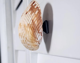 Seashell Cabinet Knobs - Cockle Shell Drawer Pulls - Beach House Dresser Hardware, Coastal Bathroom Vanity Knobs