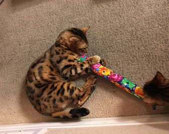 kitty stix