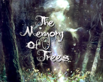 MEMORY OF BÄUME | Extrait De Parfum Öle | Unisex holzige Parfüm | Zedernholz | Petrichor