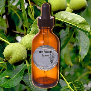 ANCESTRAL HERBAL TINCTURE | Green Walnut + Wormwood | Clove + Oregano | Folk Apothecary bild 1