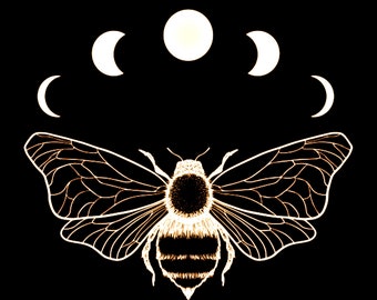 BEE WILD / Aceites de extracto de perfume / Perfume ligero y dulce / Miel de naranja / Leche de avena