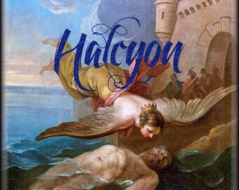 HALCYON & ON | Ekstrakt z olejków perfumowanych | Perfumy unisex Fougère | Liściaste lasy | Morskie powietrze