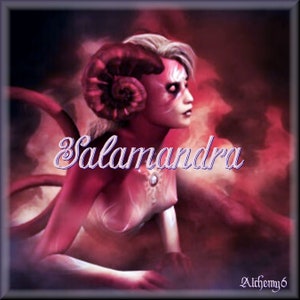 SALAMANDRA | Unisex Extrait De Parfum | Fire Elemental | Spiced Chai | Haitian Vetiver