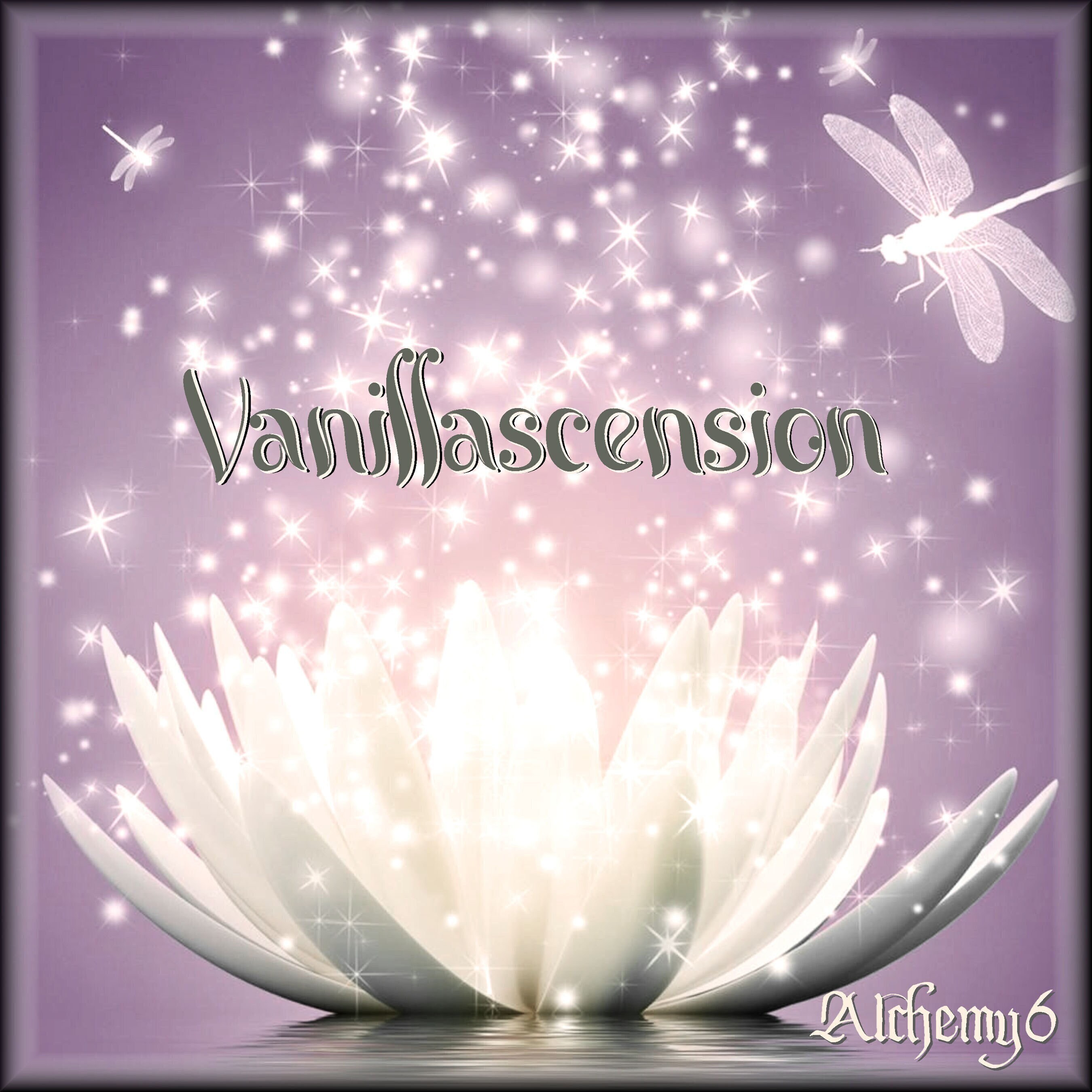 VANILLASCENSION  | Unisex Extrait De Parfum | Light Wear | Patchouli & Vanilla Orchid
