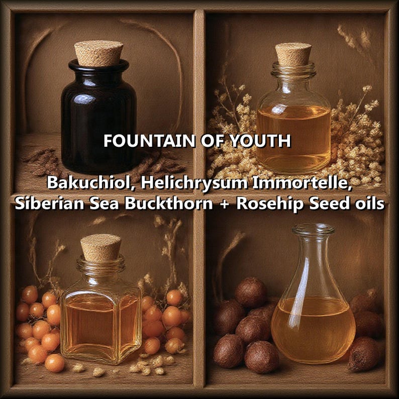 May include: Four glass bottles with cork stoppers arranged in a wooden grid. The bottles contain various oils, including Bakuchiol, Helichrysum Immortelle, Siberian Sea Buckthorn, and Rosehip Seed oils. Text reads FOUNTAIN OF YOUTH and ingredient names.