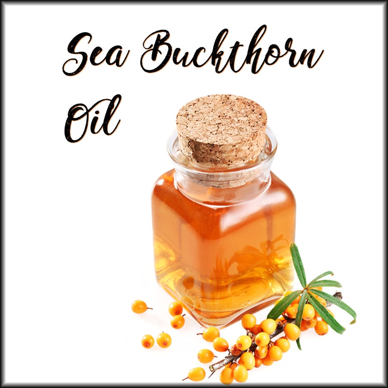 FOUNTAIN OF YOUTH Oil | Bakuchiol + Helichrysum Immortelle + Siberian Sea Buckthorn | Anti Aging Serum image 6