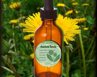 ANCIENT ROOTS TINCTURE | Pine Needle + Dandelion + Schisandra Berry | Unbinding Elixir | Botanical Herbal Bitters Tonic