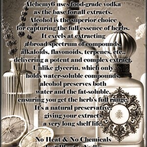 ANCESTRAL HERBAL TINCTURE | Green Walnut + Wormwood | Clove + Oregano | Folk Apothecary bild 8
