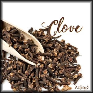 ANCESTRAL HERBAL TINCTURE | Green Walnut + Wormwood | Clove + Oregano | Folk Apothecary bild 5