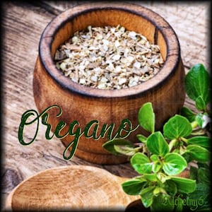 ANCESTRAL HERBAL TINCTURE | Green Walnut + Wormwood | Clove + Oregano | Folk Apothecary bild 6