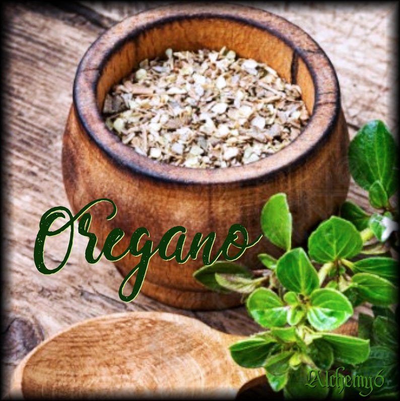 ANCESTRAL HERBAL TINCTURE | Green Walnut + Wormwood | Clove + Oregano | Folk Apothecary bild 6