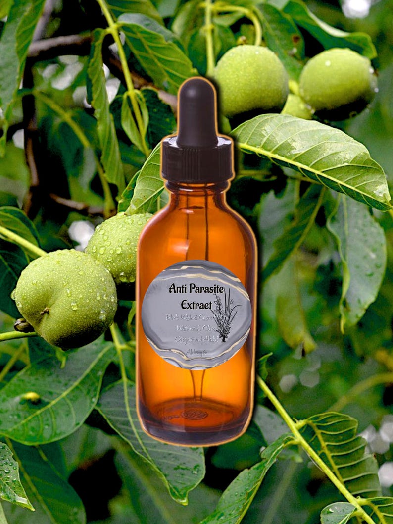 ANCESTRAL HERBAL TINCTURE | Green Walnut + Wormwood | Clove + Oregano | Folk Apothecary bild 1